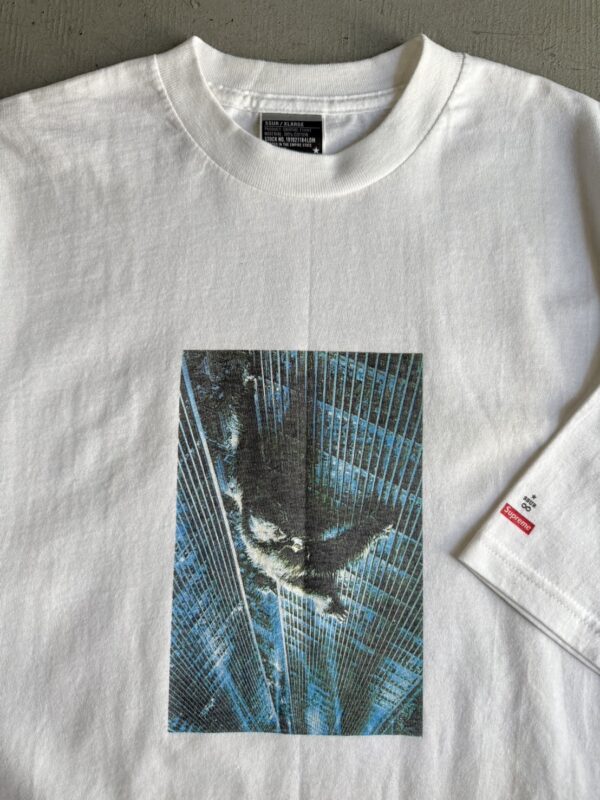 2000 Supreme × SSUR Top of the World Tee - 画像 (2)