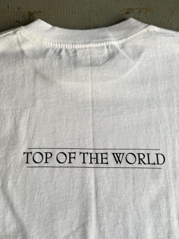 2000 Supreme × SSUR Top of the World Tee - 画像 (5)