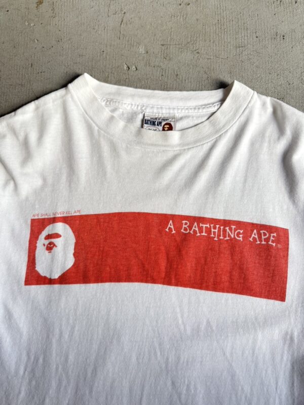 90s A BATHING APE “ASNKA” Tee - 画像 (2)